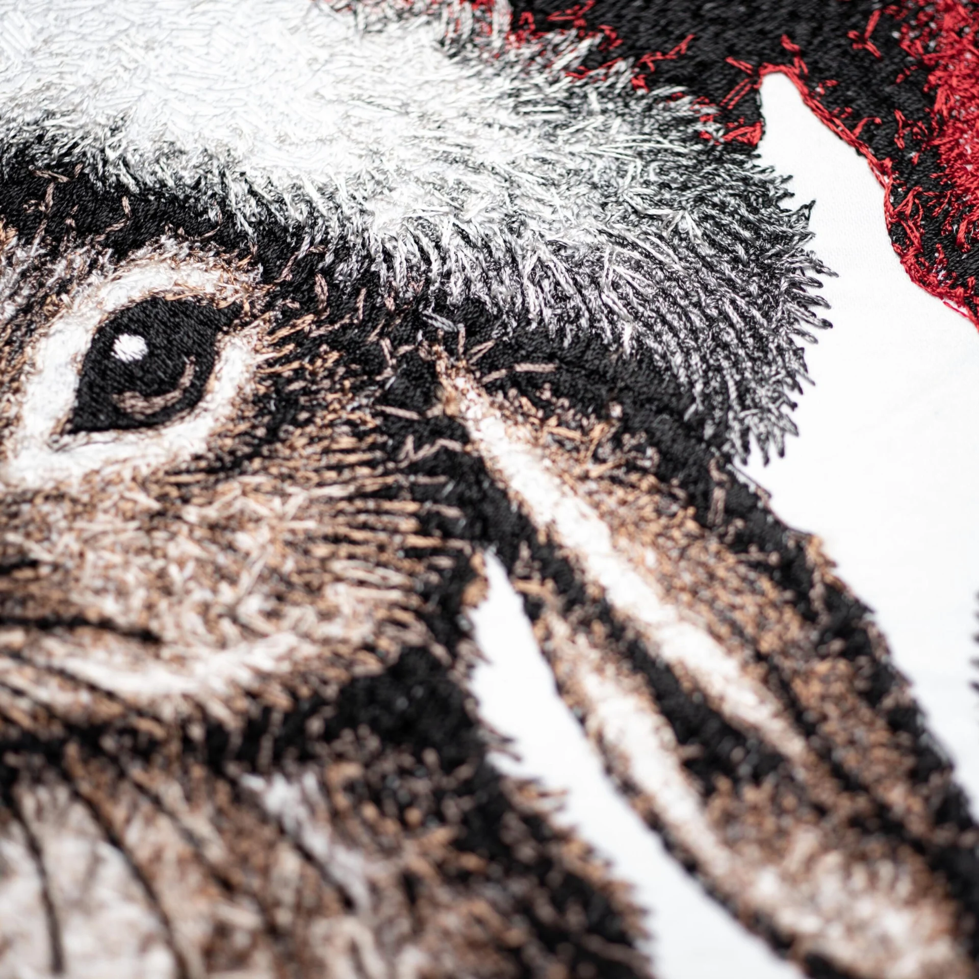 Bunny Claus