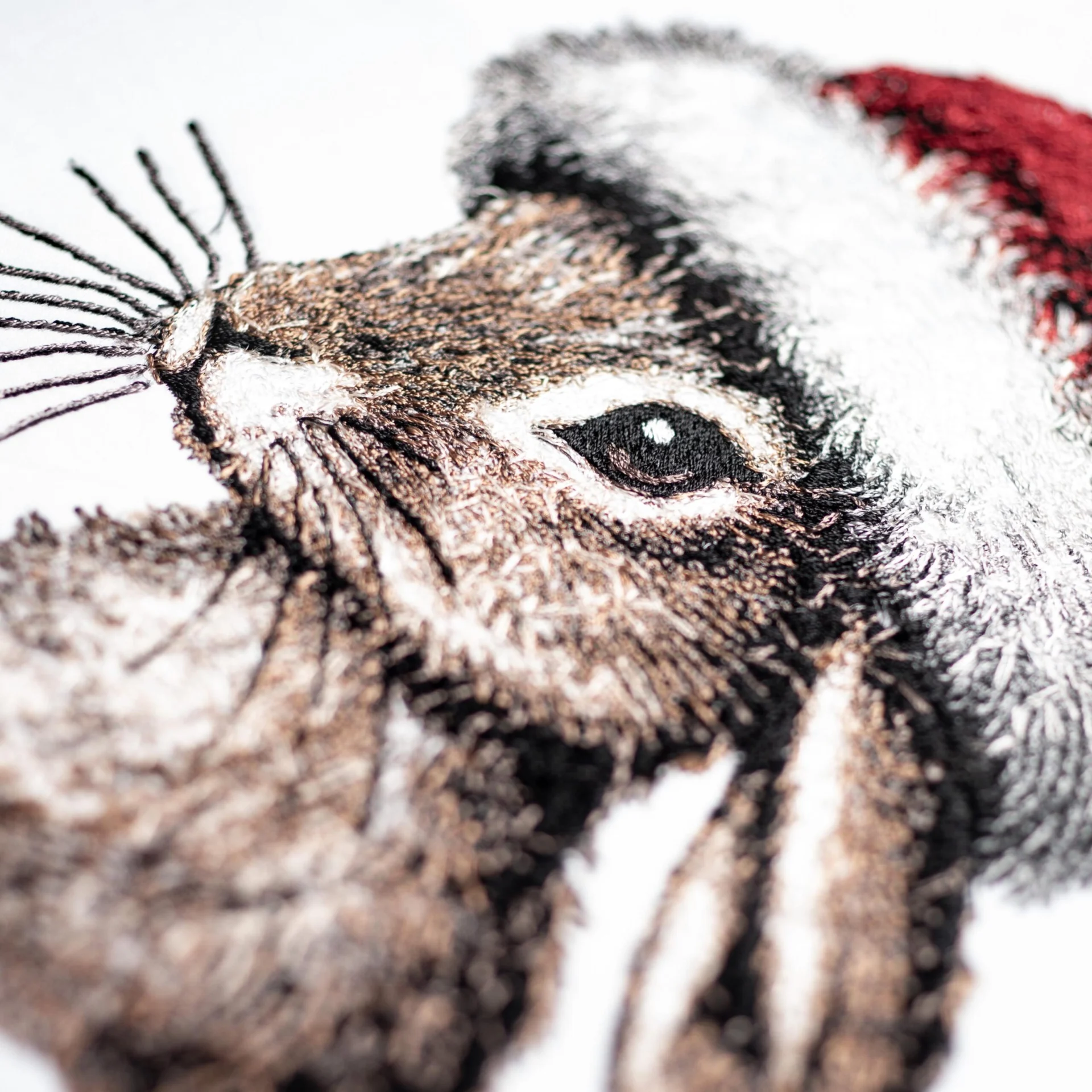Bunny Claus