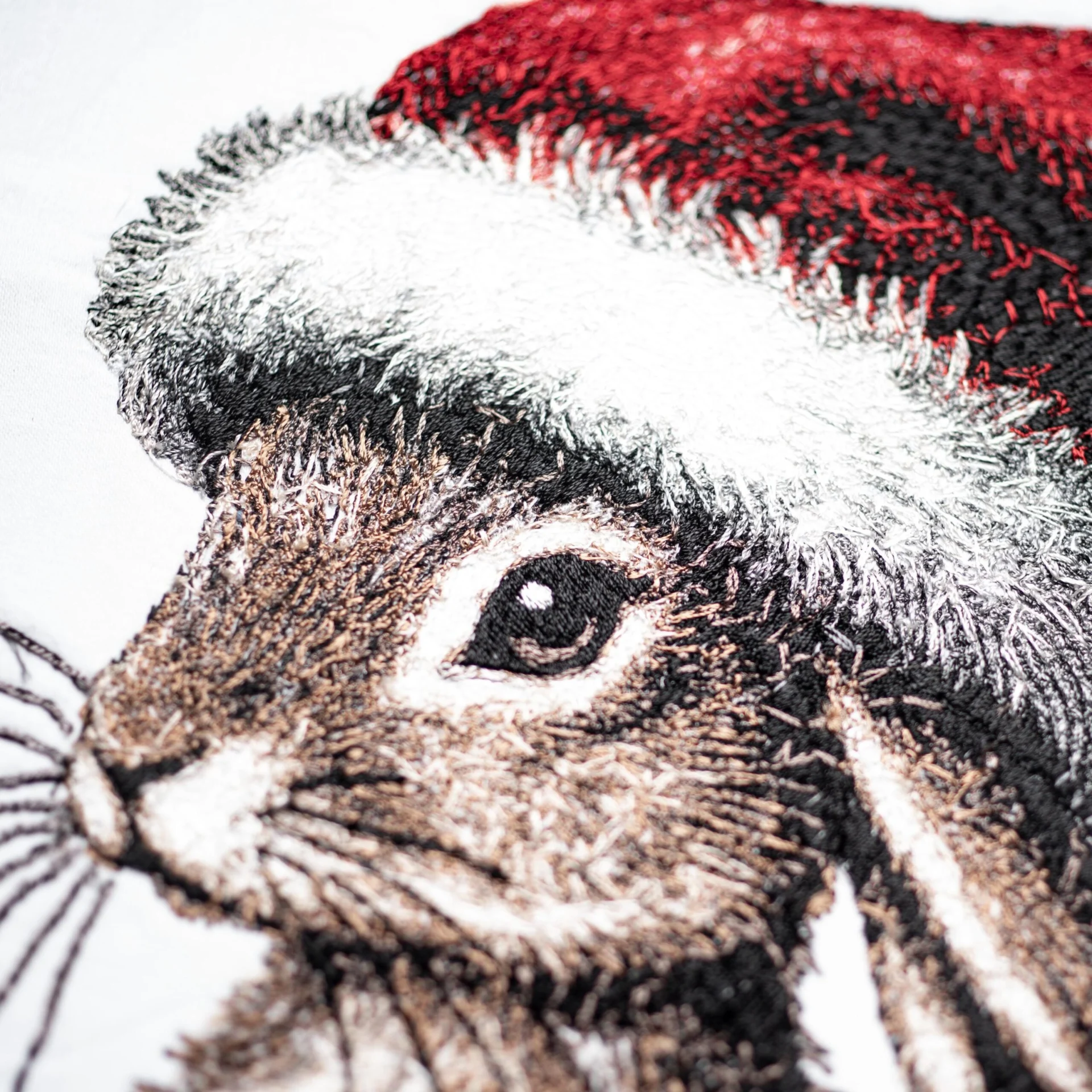Bunny Claus