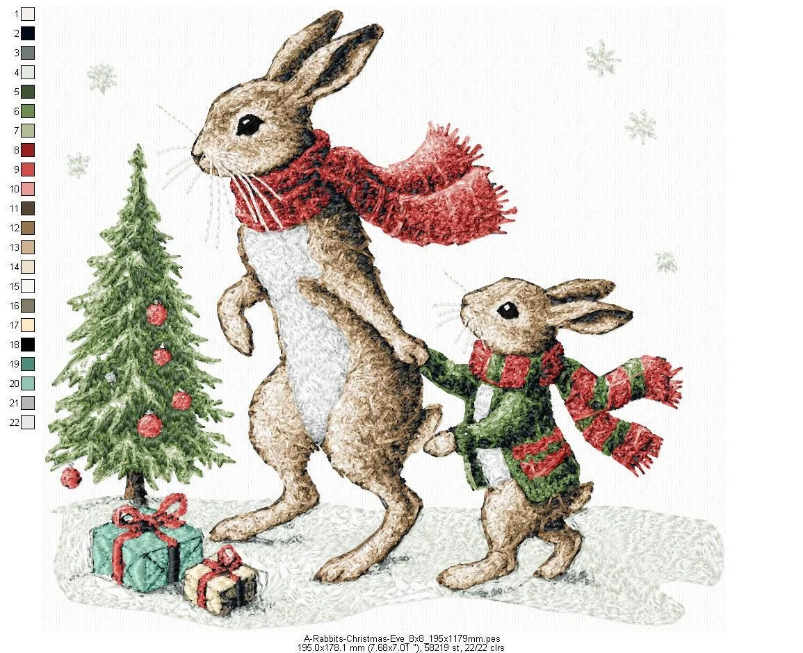 A Rabbits Christmas Eve